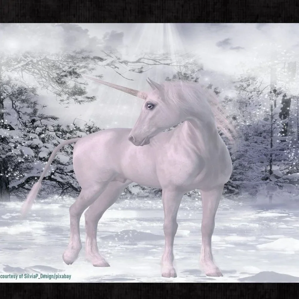 Unicorn Calendar 2025 Unipeg Wall Calendar Unicorn Pictures Planner Organizer